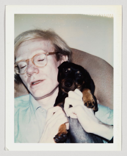 Andy Warhol's Intimate World: Exploring 'Family Album' at the Whitney Museum NYC (2026)