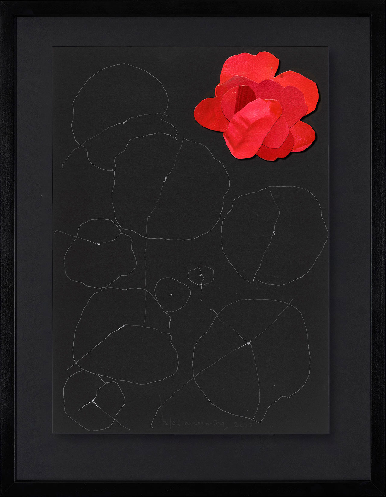 Peel Cottage Garden  1 main image