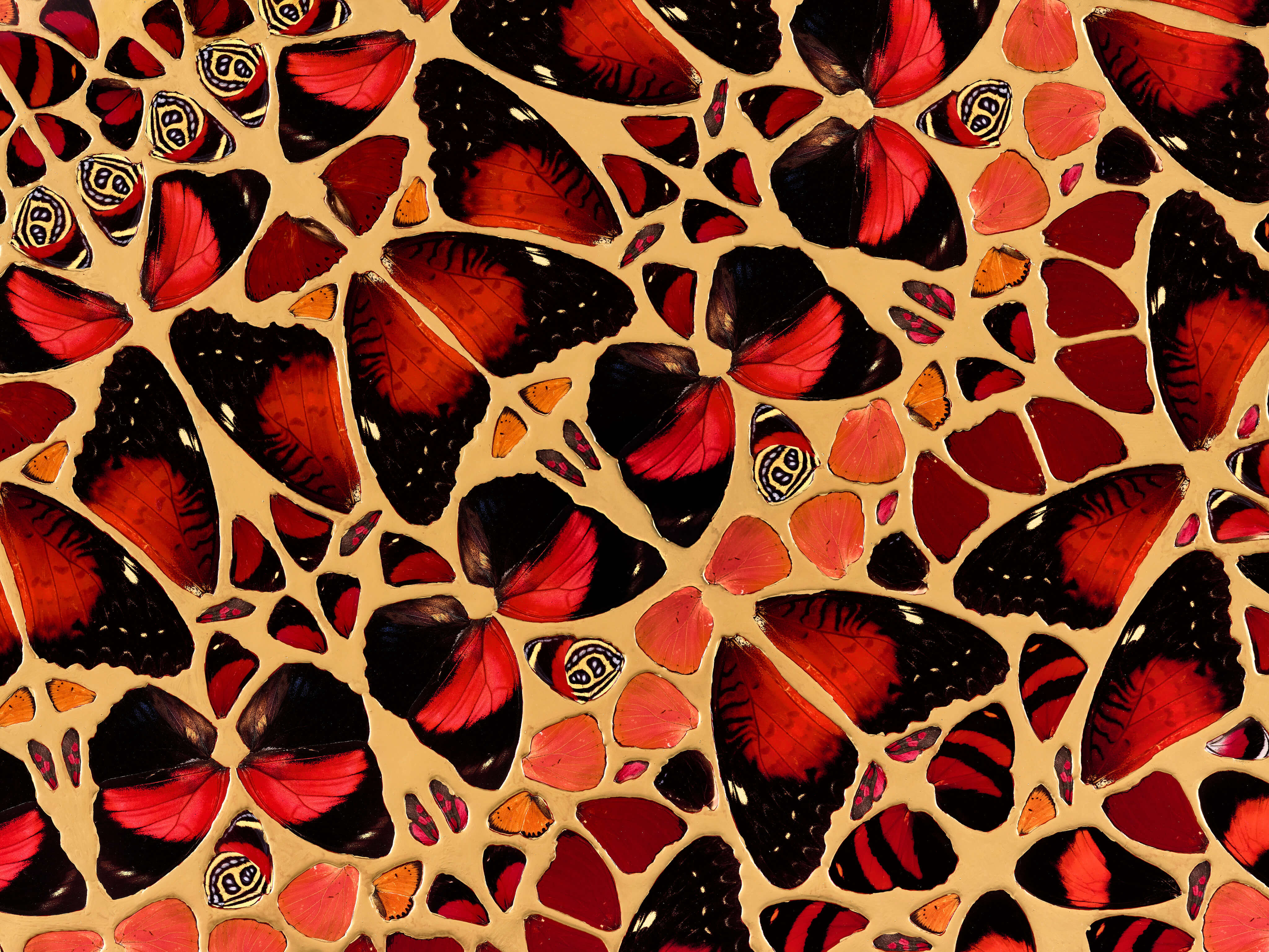 Damien Hirst – The Light That Shines | HENI Primary