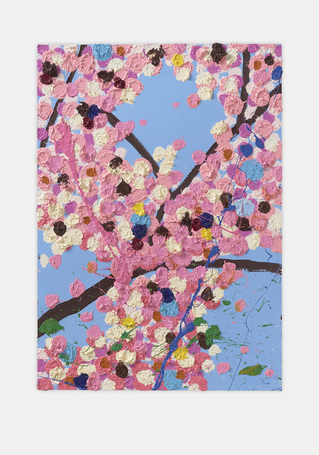 Discovery Blossom 1 main image