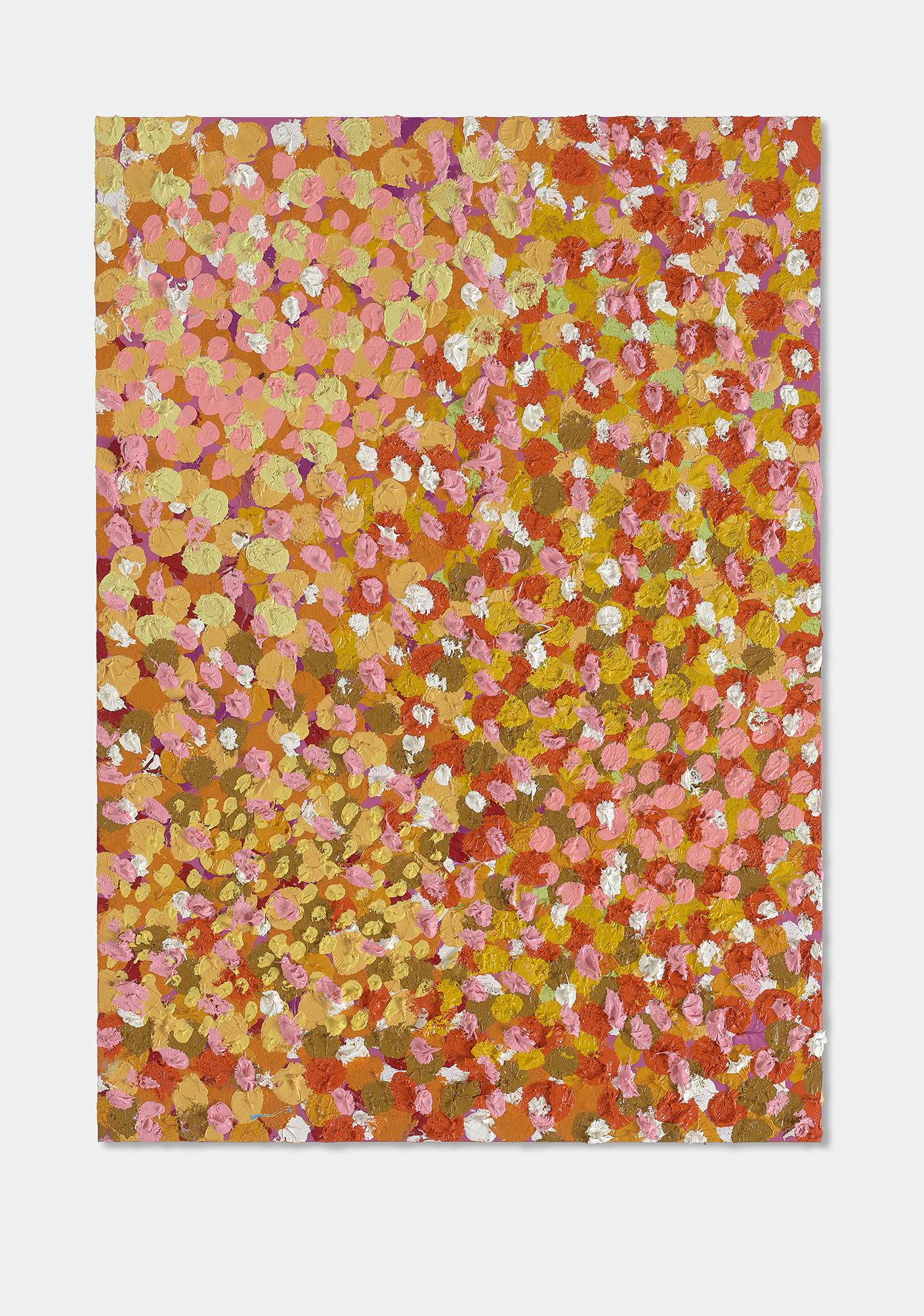 Distinguished Veil 1 main image