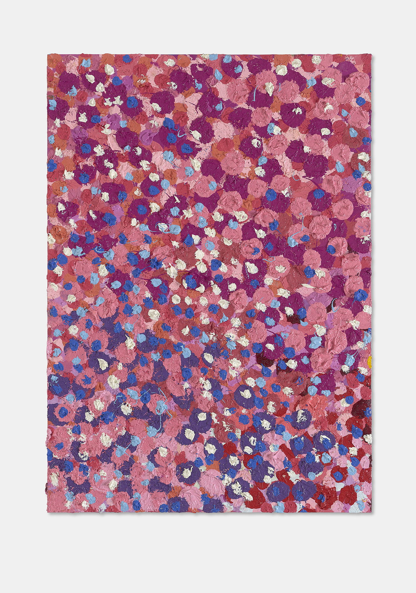 Healthy Veil 1 main image