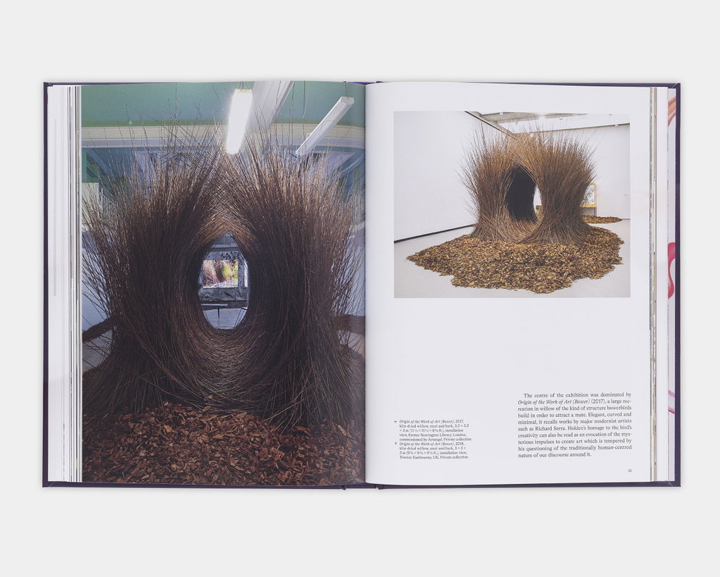 ANDY HOLDEN: Weight of Imagination image #4