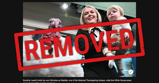 ‘Unflattering’ Photo Yanked After Karoline Leavitt Meltdown