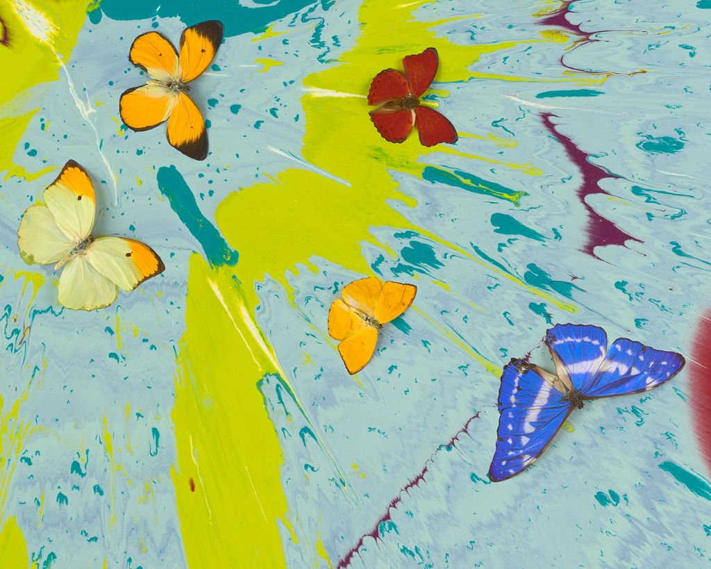 Beautiful Take My Hand if We Be Friends (with Butterflies) 4