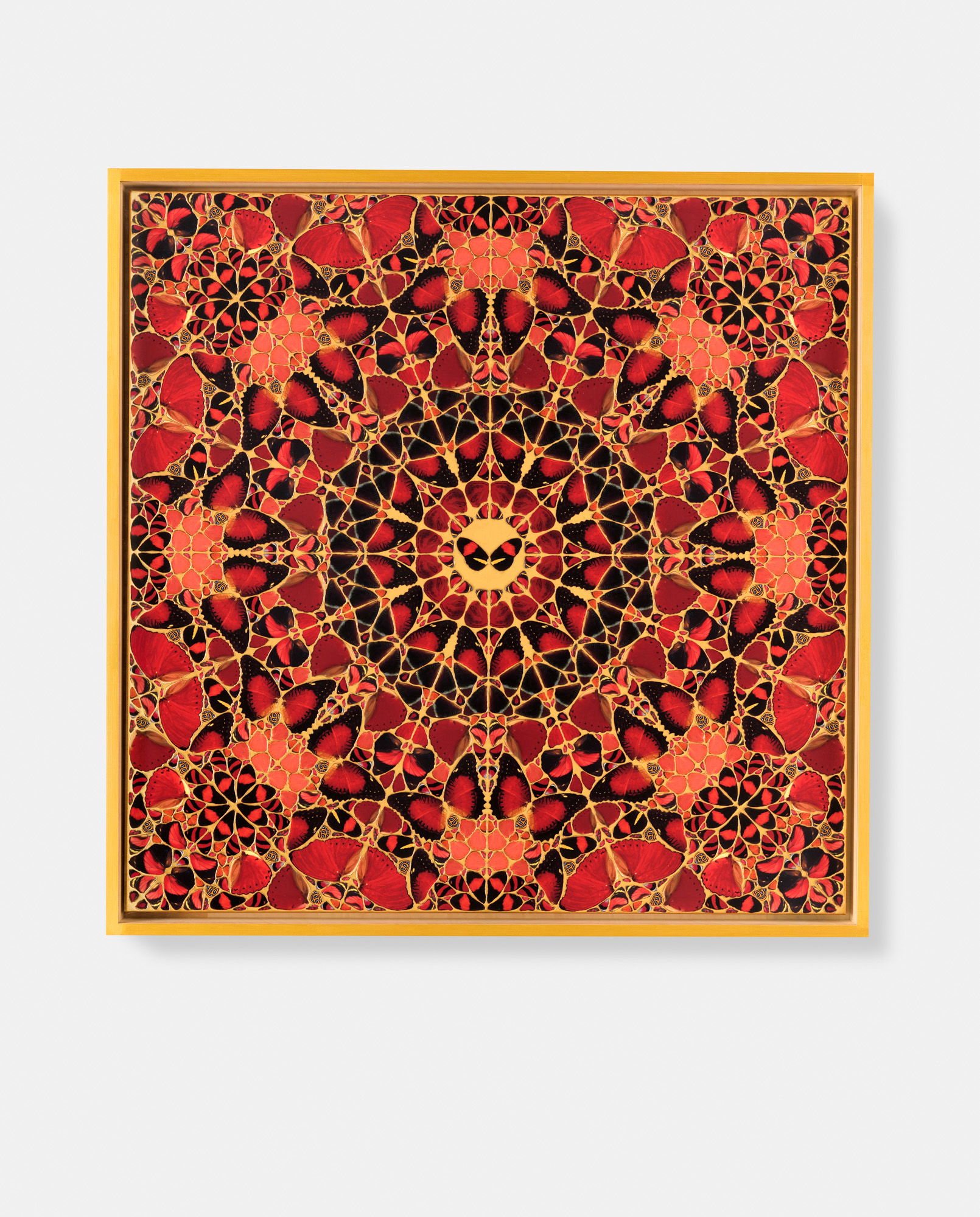 Tarabai / Galla Placidia / Adelaide / Xiaoxu / Pulcheria 4