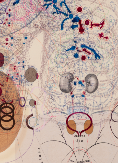 Luboš Plný: Materia Delicata at Galerie Smeçky. Image copyright the artist, courtesy of the gallery