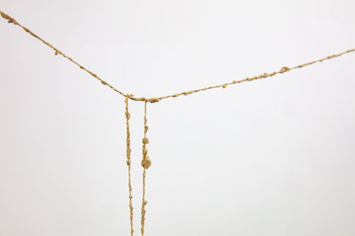 Five Questions: Alia’s ‘hayth taksib eishka, abqa’ at breakroom