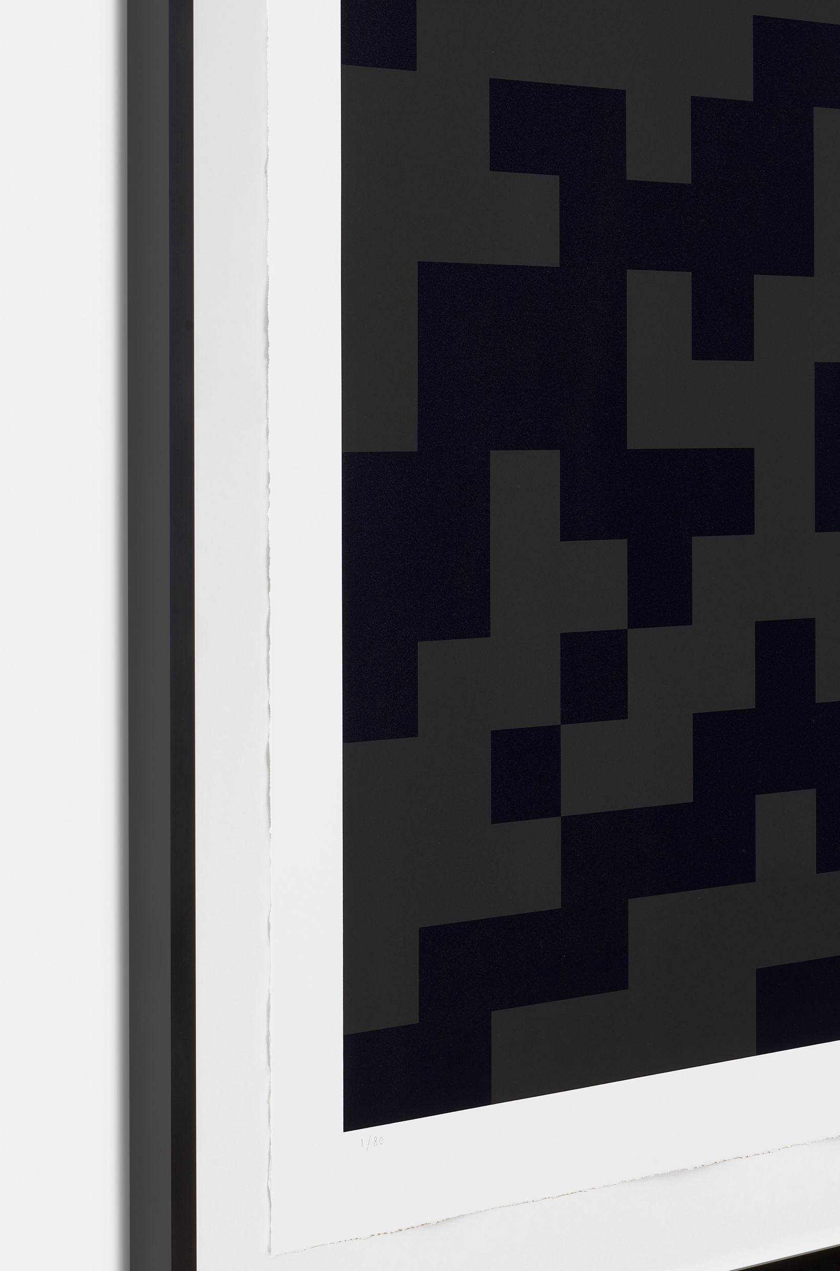 CAMO XXL-2C-M1 image #3