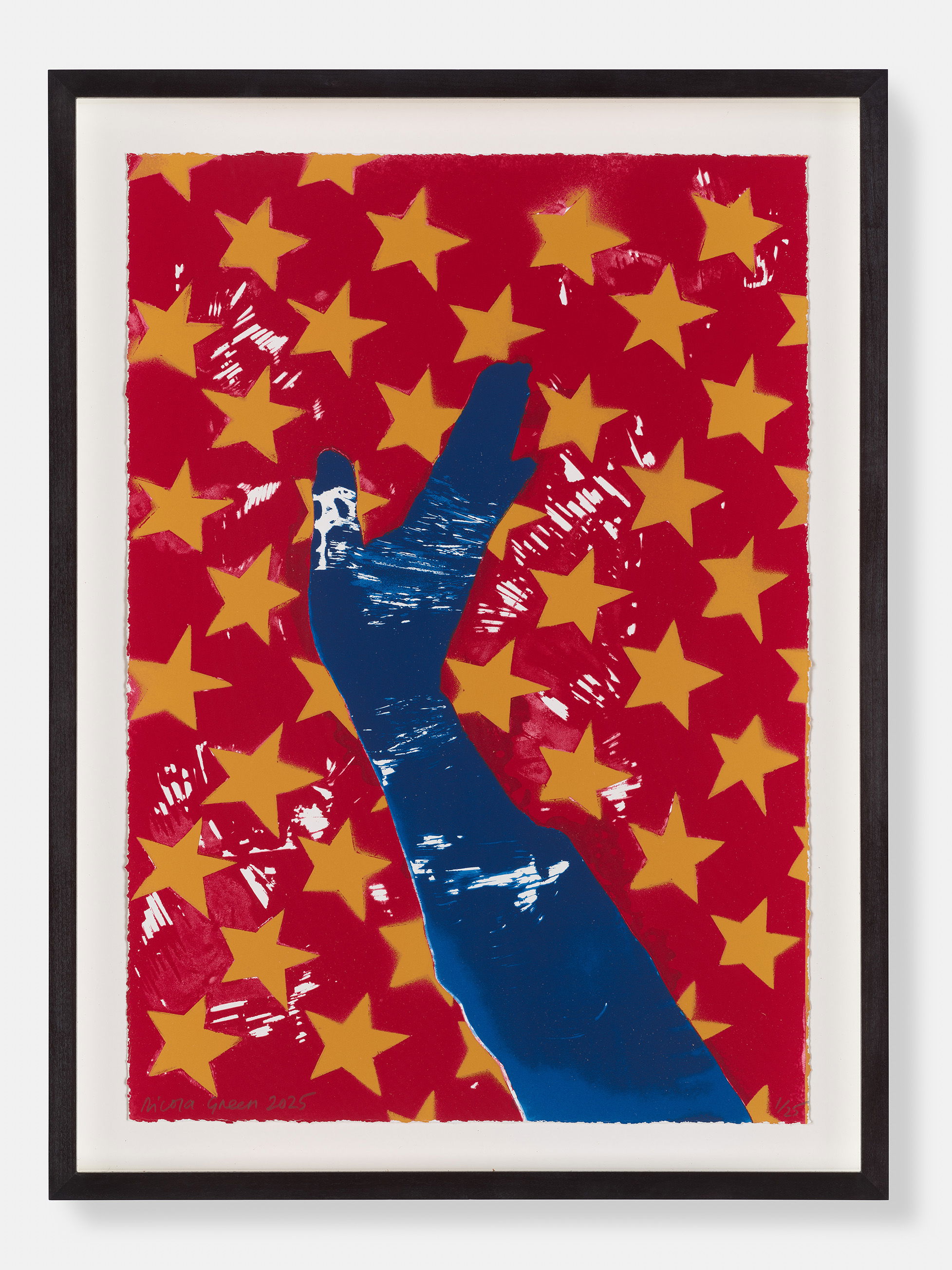 Stars and Stripes IV image #1 main image