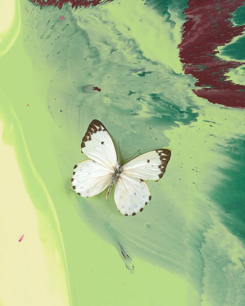 Beautiful Without Conditions or Limitations Painting (with Butterflies) 3