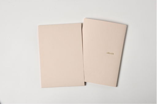 Ewa Monika Zebrowski and Anne Michaels’s ABLAZE