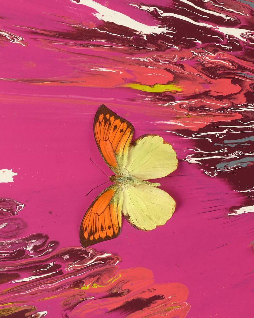 Beautiful Another Drink of French Red Wine Painting (with Butterflies) 3