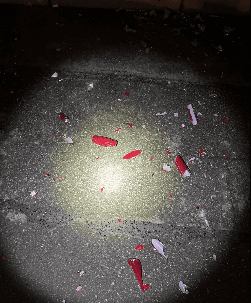 Vandal smashes up Dale Chihuly glass