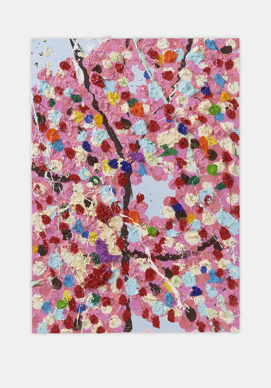 Boomerang Blossom 1 main image