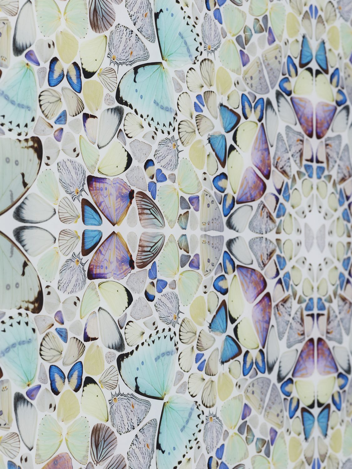 Air image #4