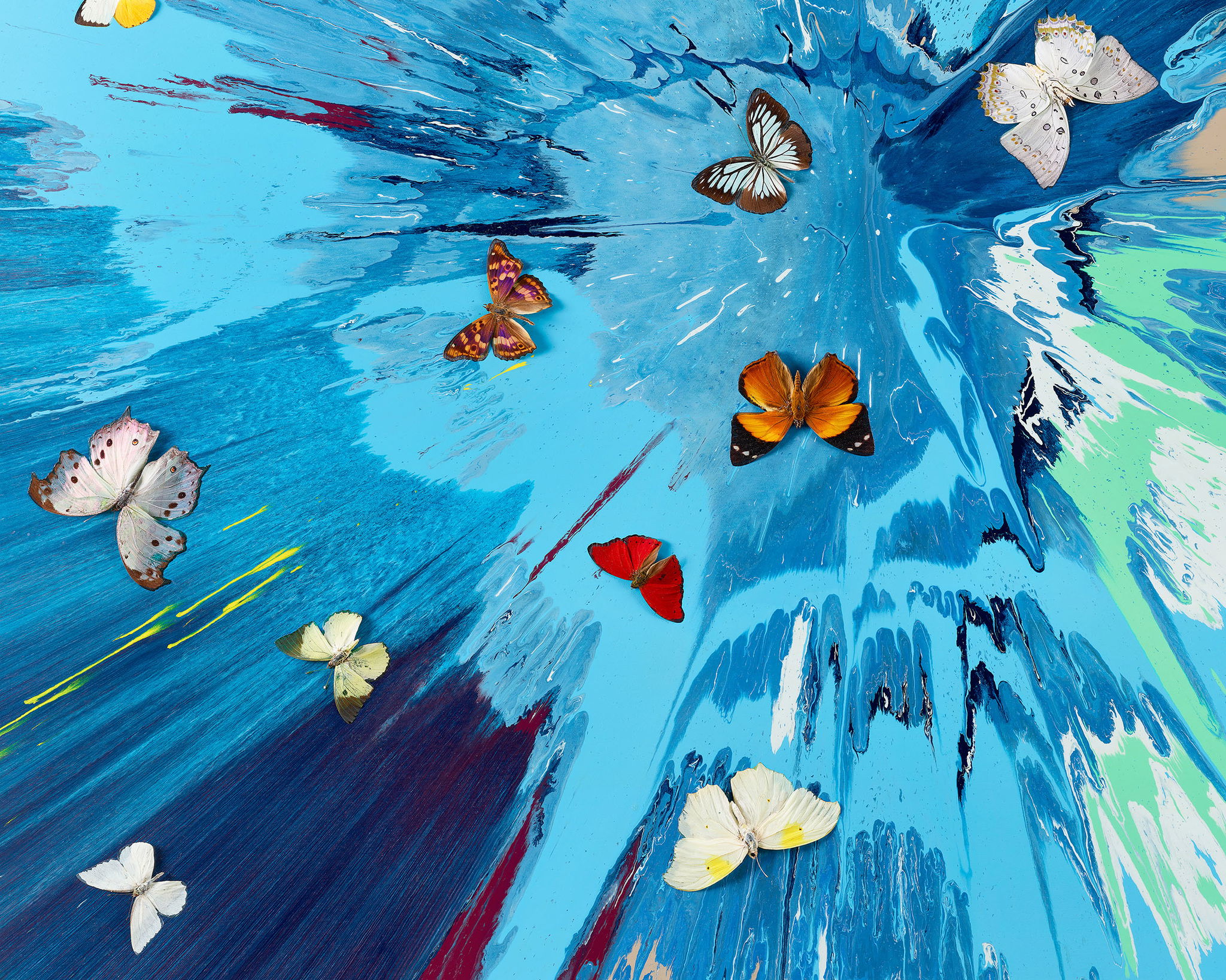 Luna Chrysalis image #2