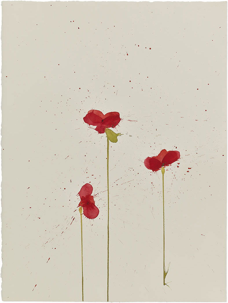 Vesper 242 1 main image