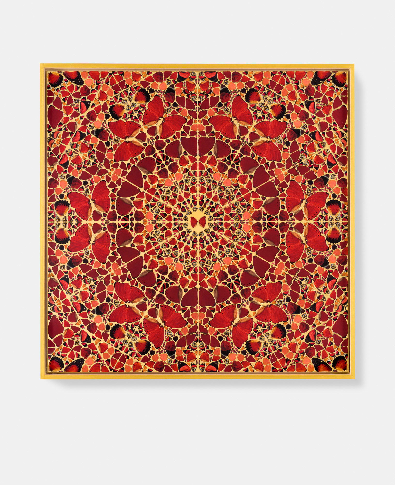 Gaohou / Nambui / Lucilla / Jeguk / Anna 6