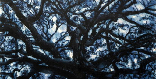 Andrea Chiesi investigates the essence of places in "Dharmata" in Diano Marina, Imperia