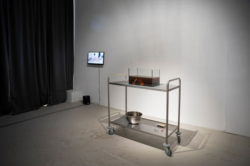 Photo reportage from the exhibition 'Fish wailing' by Daina Pupkevičiūtė at the Meno Parkas Gallery