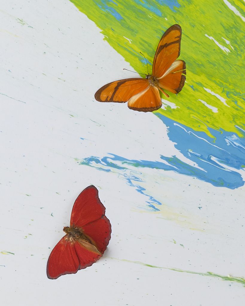Beautiful Transcending Time and Space With Someone Like You Painting (with Butterflies) 3