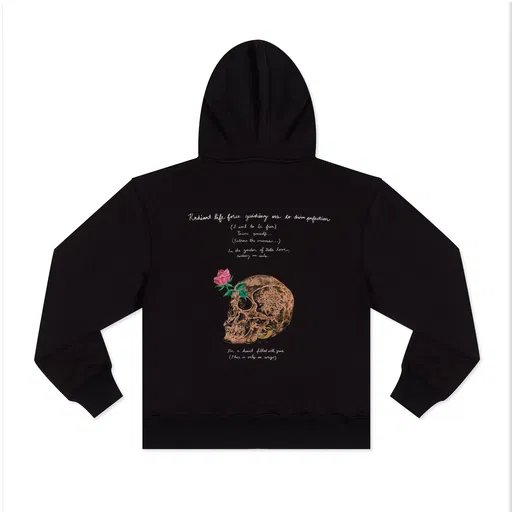 Radiant life force guiding us to divine perfection Hoodie
