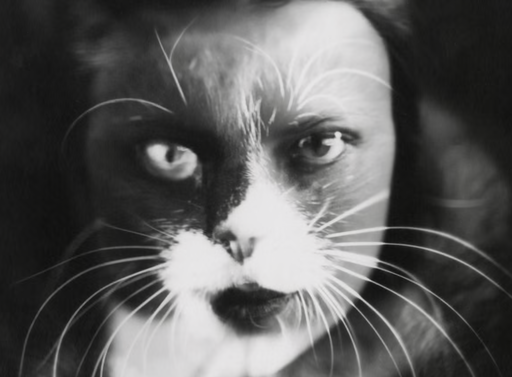 The Cat That Defied Mussolini