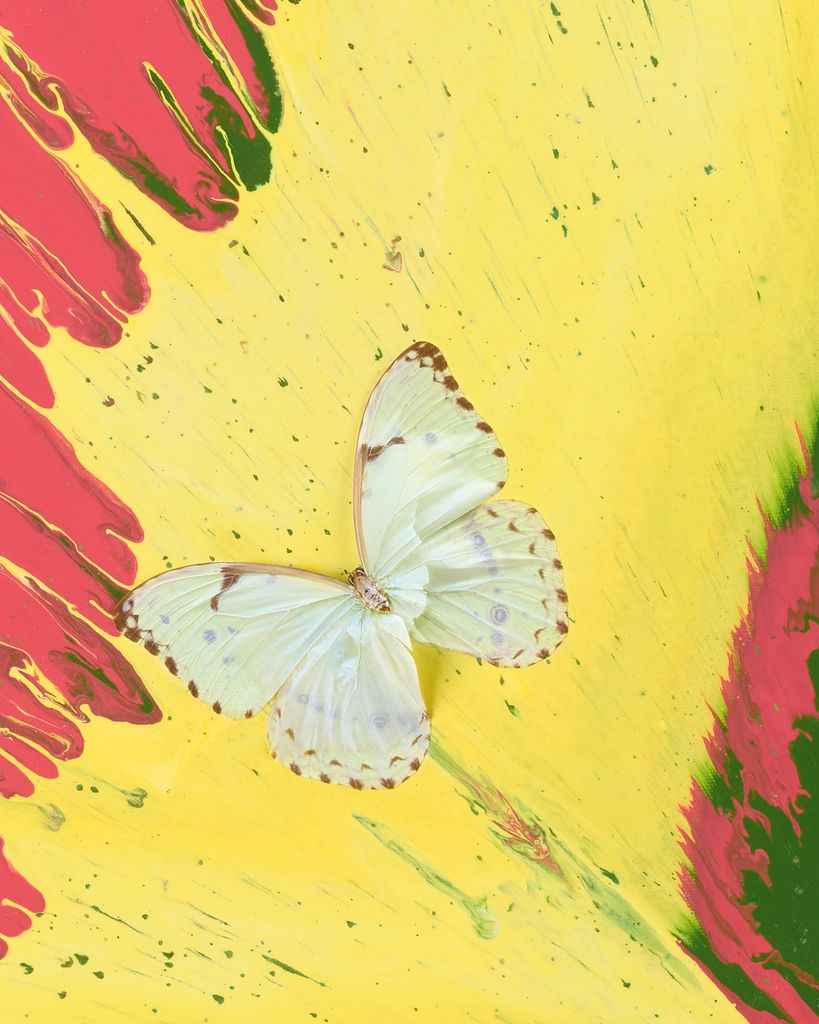 Beautiful Lemon Squirt Painting (with Butterflies) 3