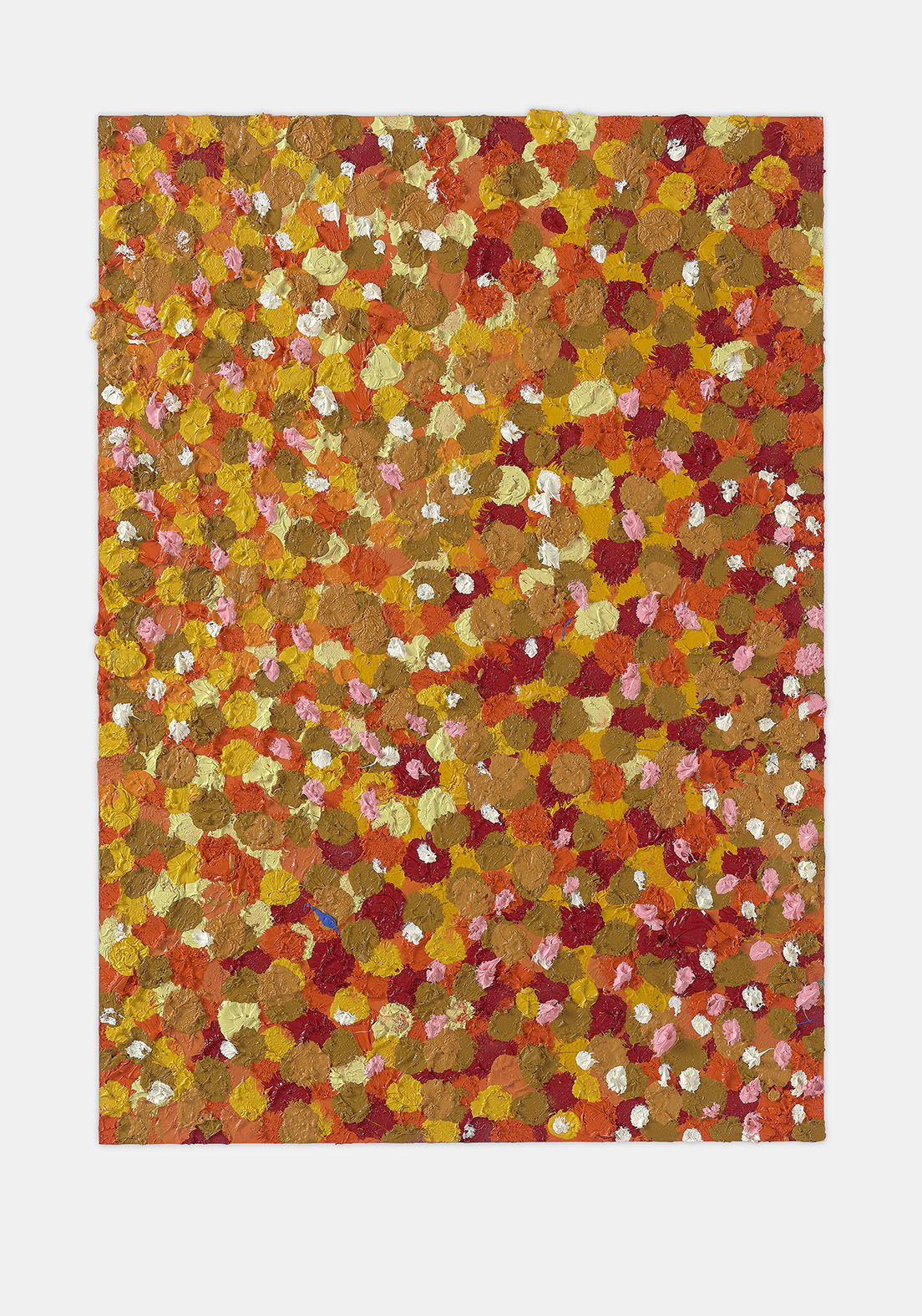 Enraptured Veil 1 main image