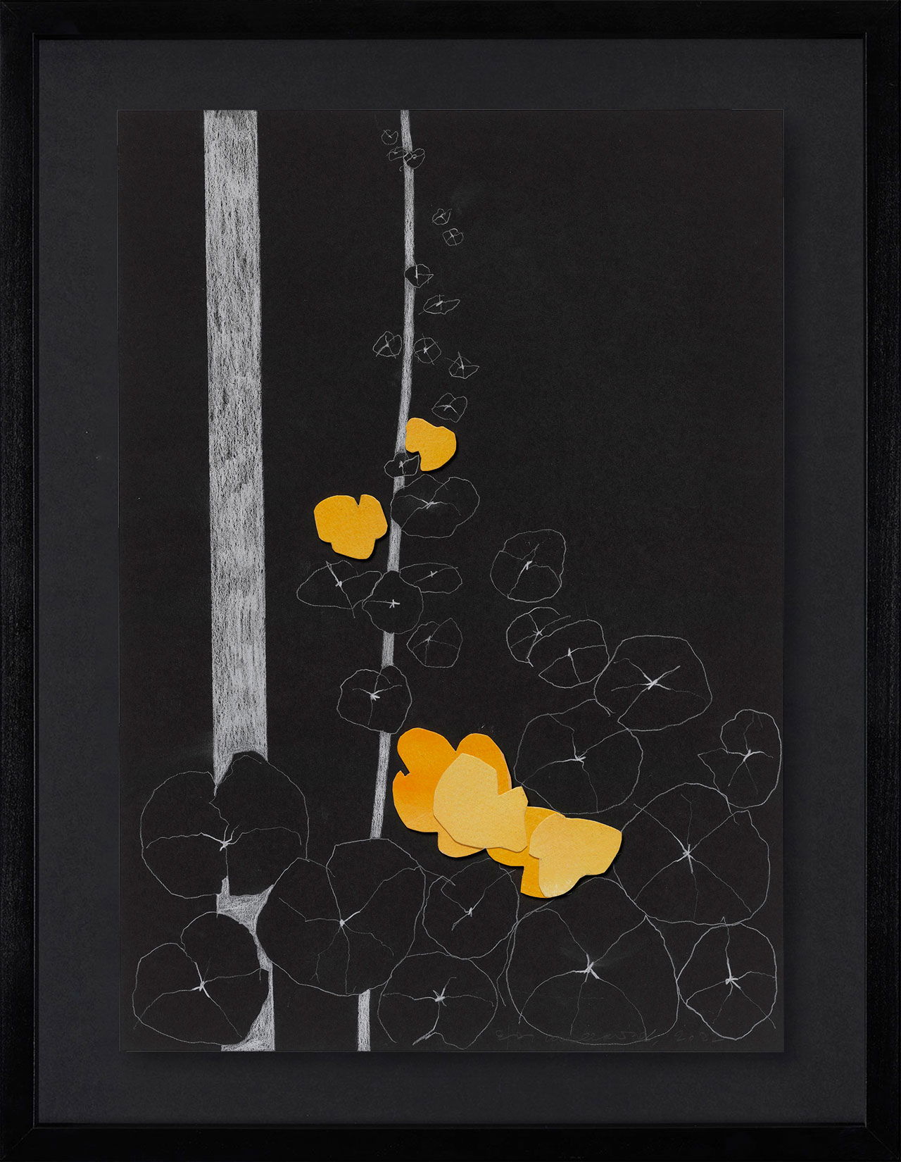 Peel Cottage Garden  1 main image