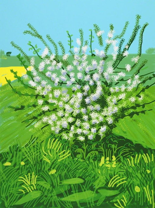 David Hockney Work Heads to Auction