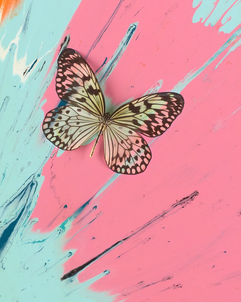 Beautiful Wellbeing and Good Fortune Painting (with Butterflies) 3