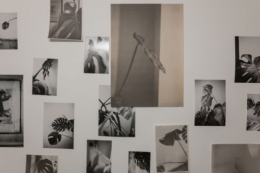 Ian Waelder at GAK Gesellschaft für aktuelle Kunst, Bremen