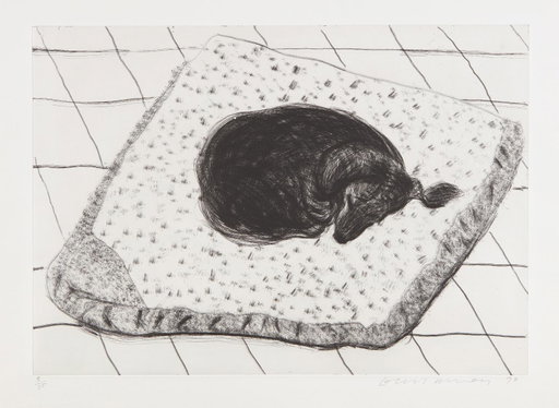 David Hockney Work Sells for 64% Above Estimate at Auction