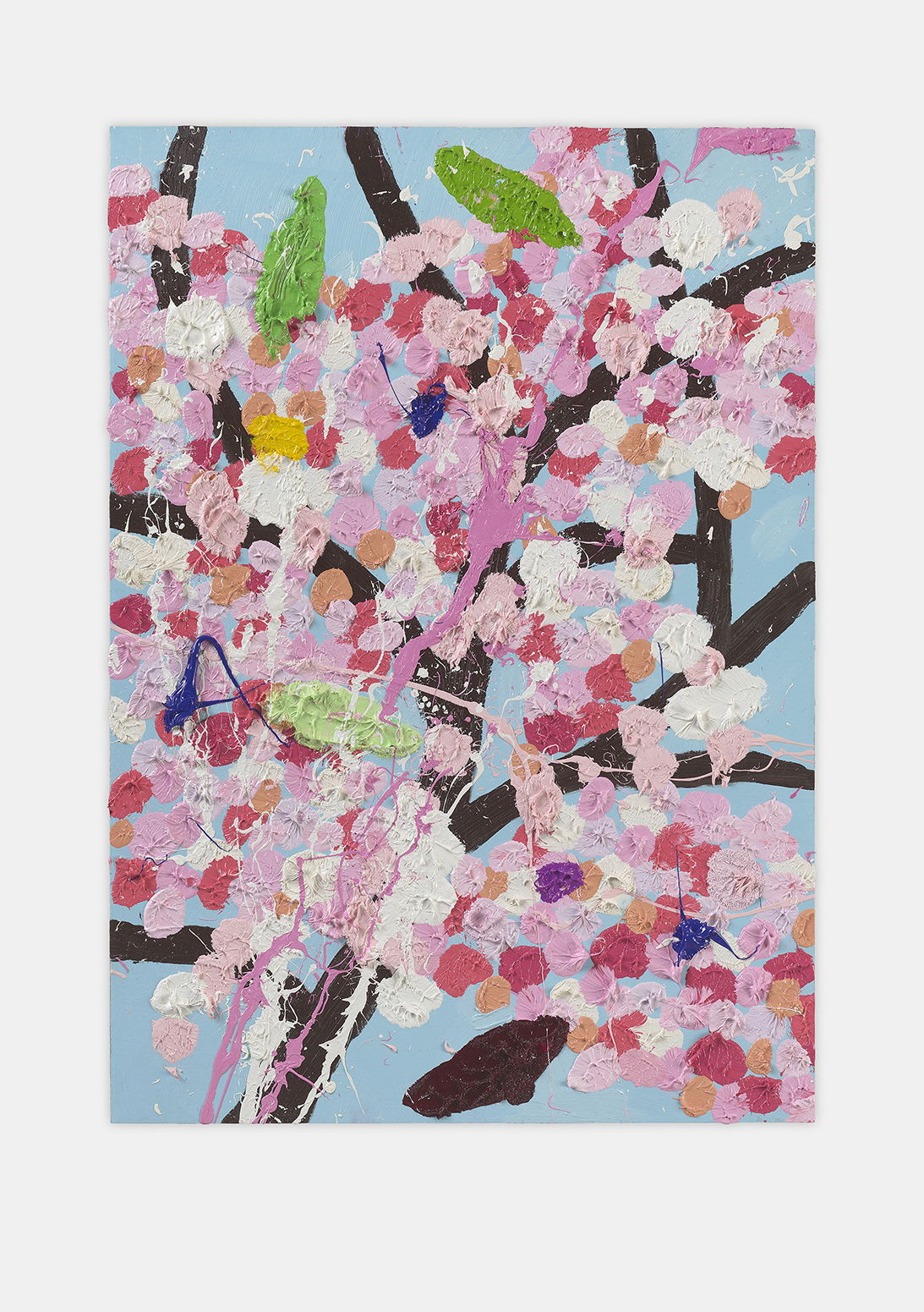 Festival Blossom 1 main image