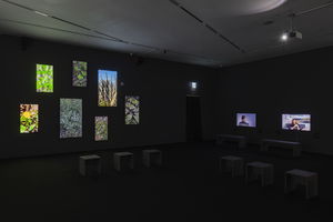 SeMA explores how art becomes knowledge through research-based practice