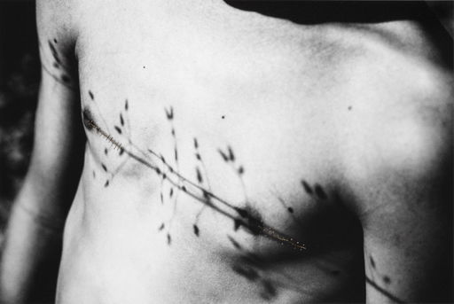 Galerie Polomarco : Actwall : What Still Concerns Us