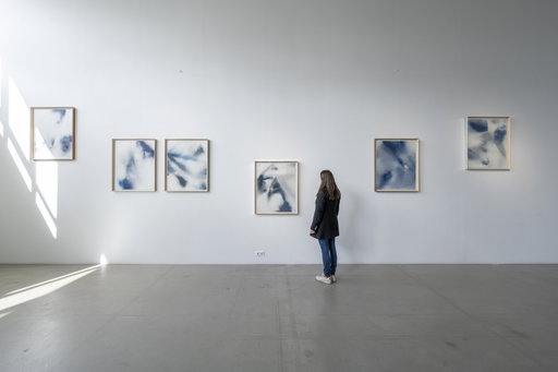 Photo reportage from the exhibition 'Glide through the Thaw' by Jaanika Peerna at the ARS Project Space
