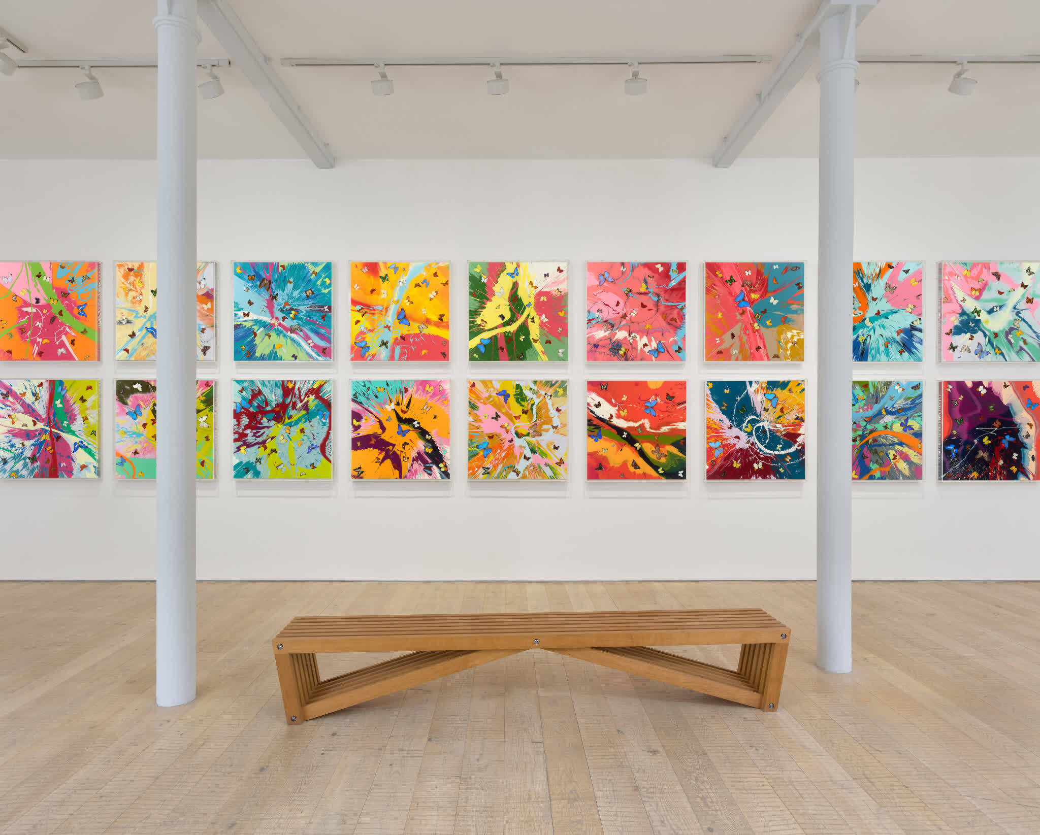 The Dreams by Damien Hirst