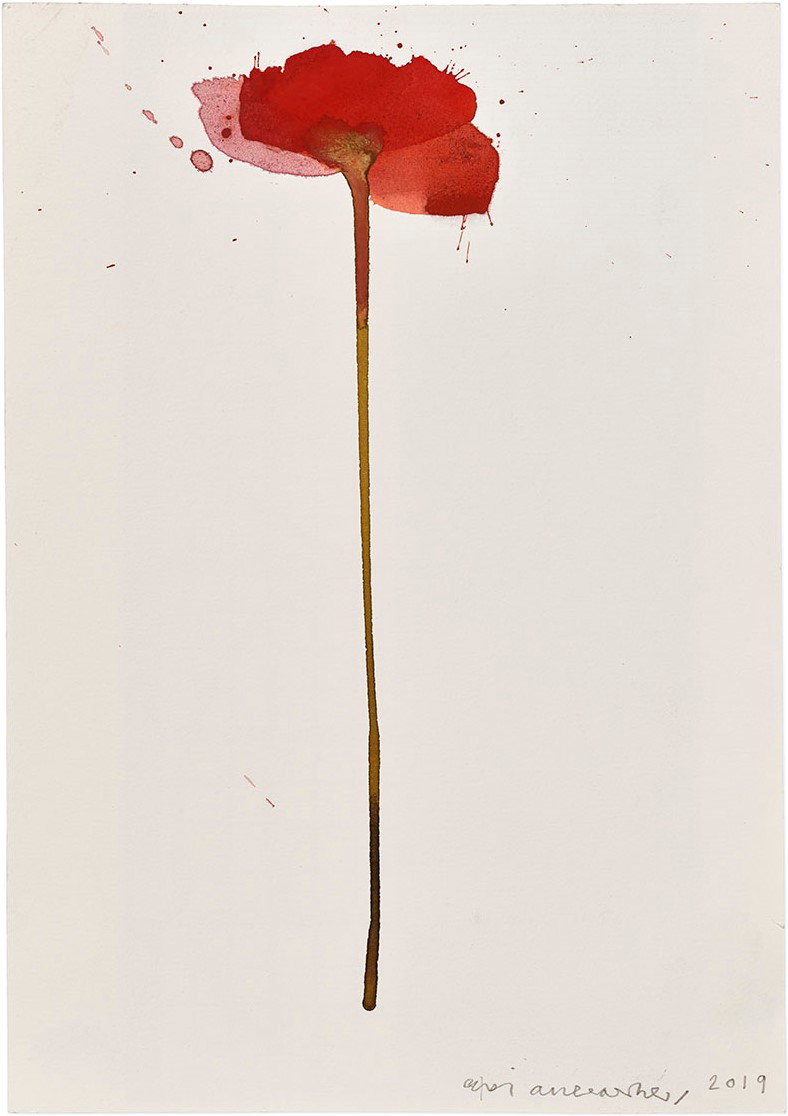 Vesper 144 1 main image