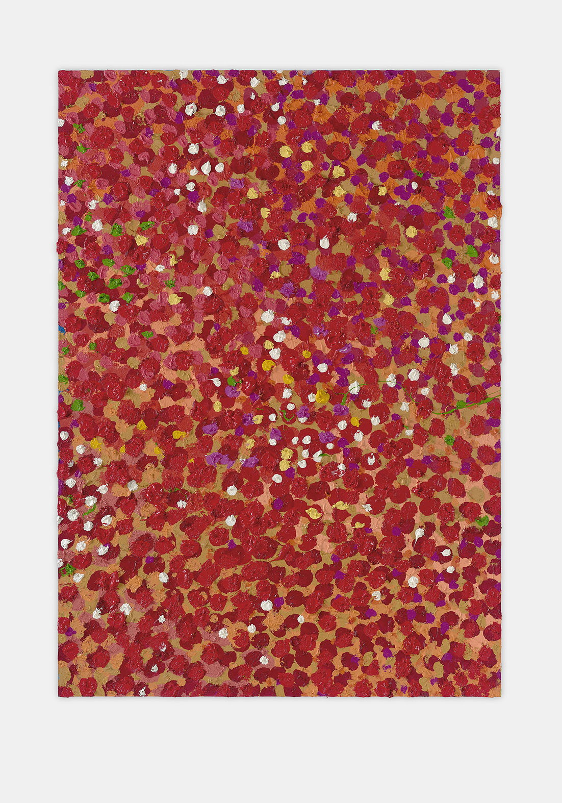 Cheerful Veil 1 main image