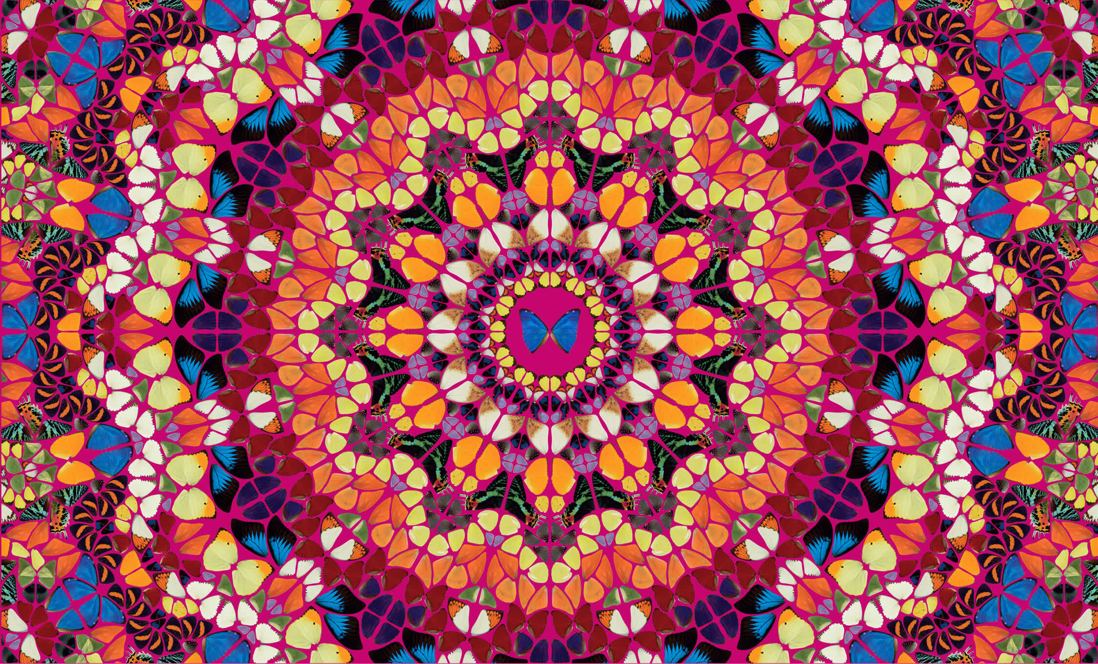 アート・デザイン・音楽 Damien Hirst The Kaleidoscopes by Damien Hirst | HENI Editions