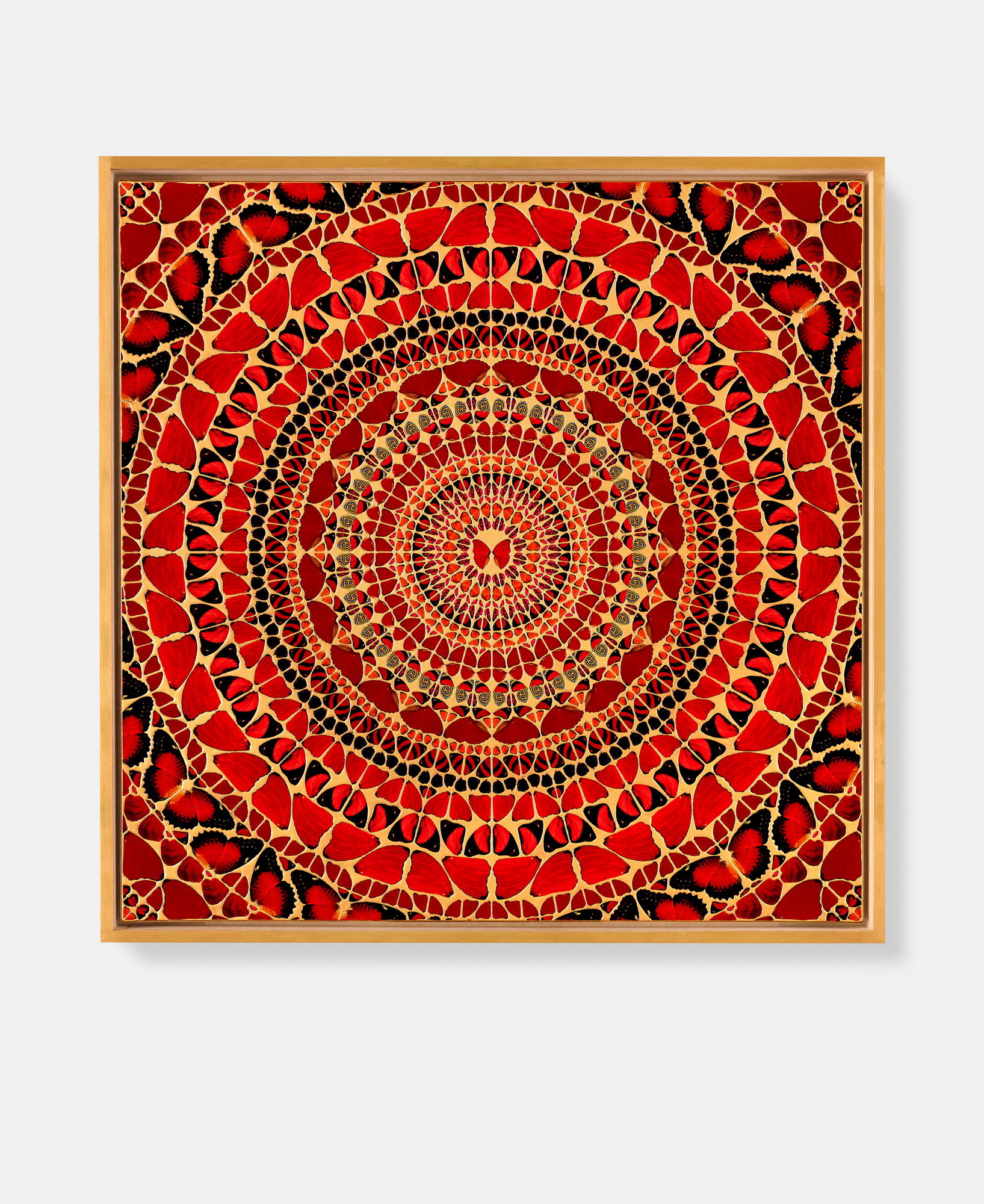 Gisela / Sugabala / Meishō / Zenobia / Danashri 4