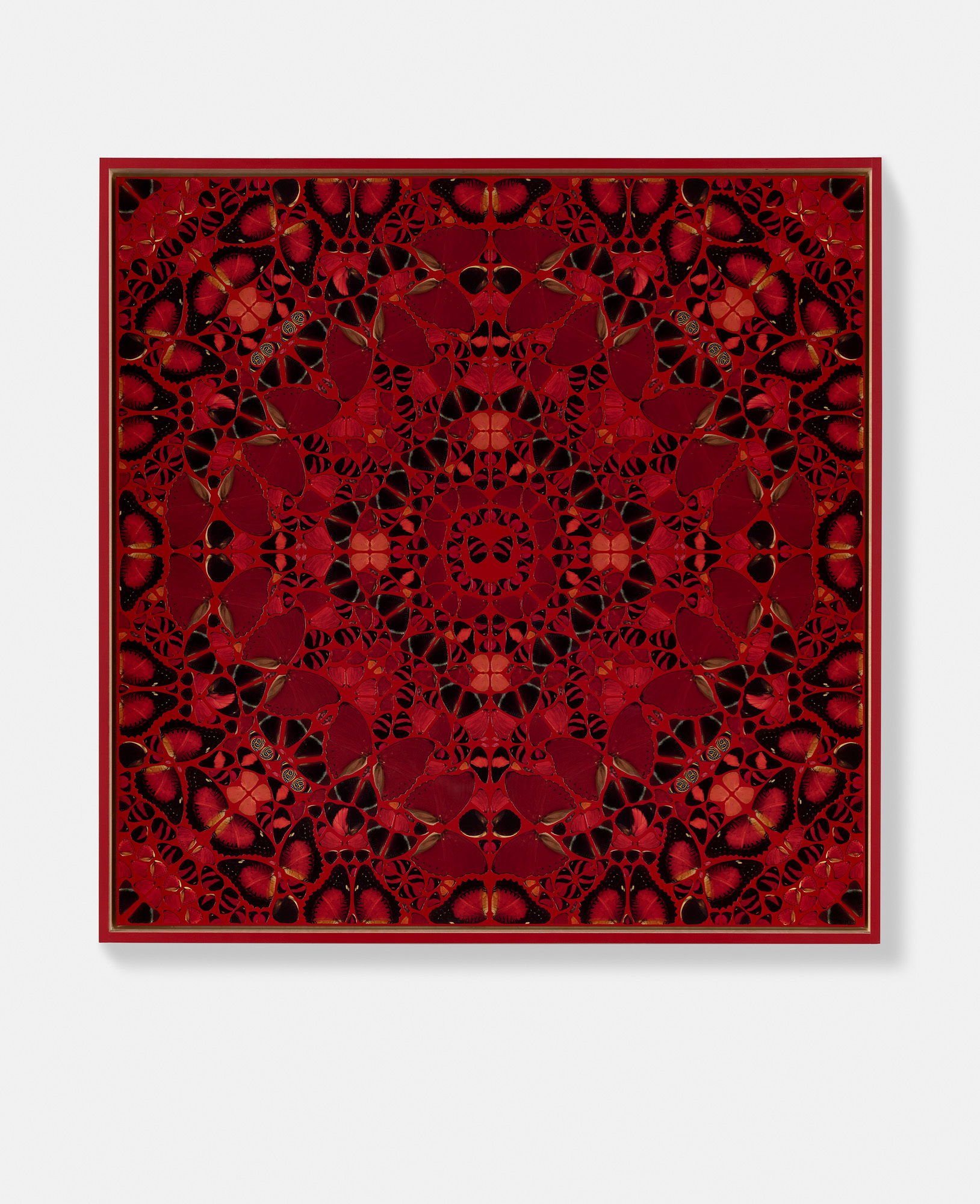 St. Adelaide 1 main image