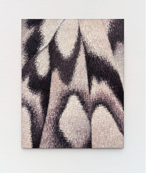 Ava Mcdonough: Master, Serene at 12.26 in Dallas