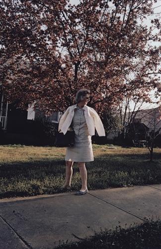 William Eggleston Work Heads to Auction