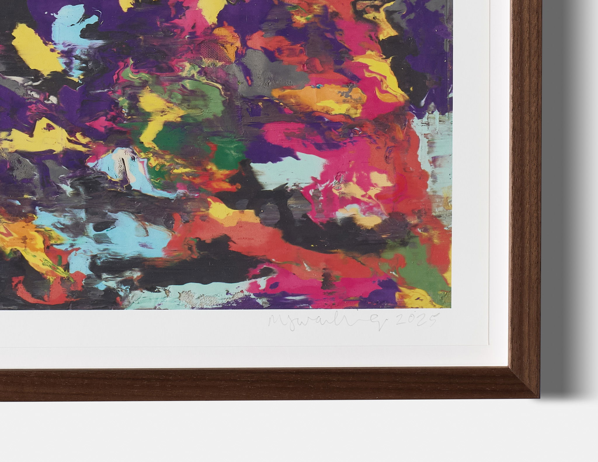 Proteus VI image #2