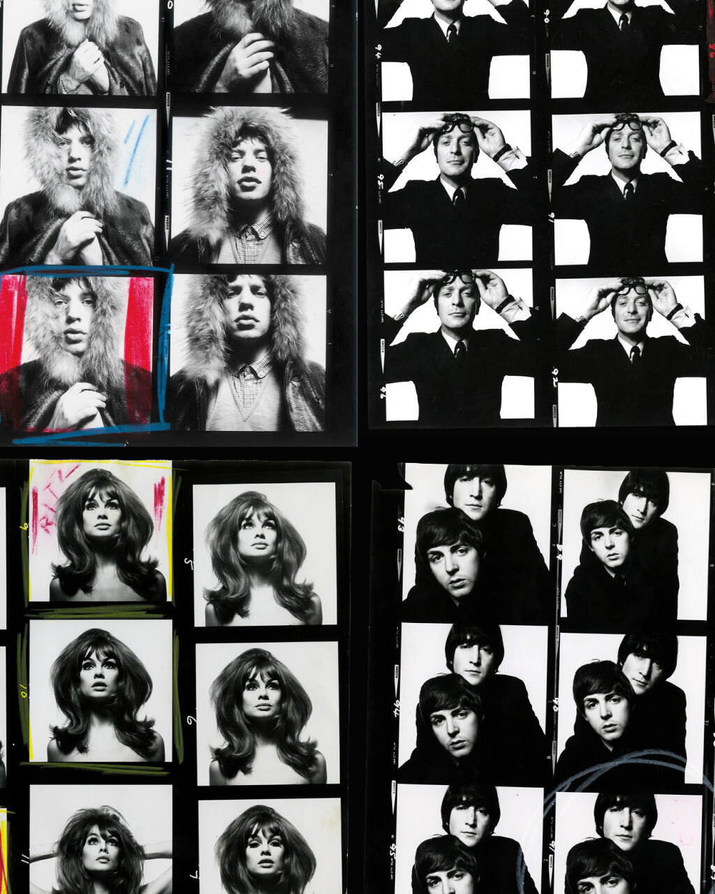 DAVID BAILEY