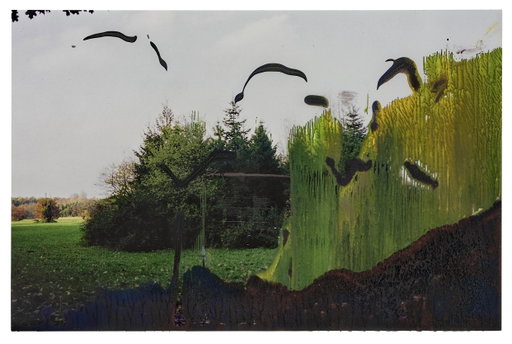 Gerhard Richter Work Heads to Auction